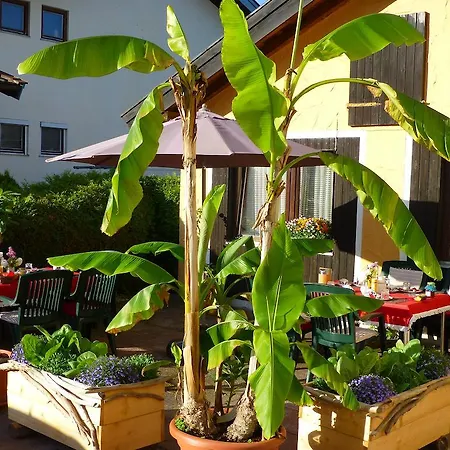 Casa Shania Guest house 3*