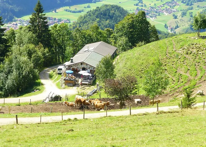 Casa Shania