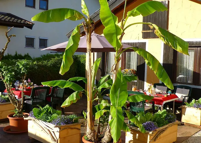 Casa Shania Penzion 3*